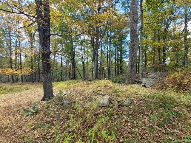 $3,095,000 | 118 Hilltop Road, Monticello, NY 12701