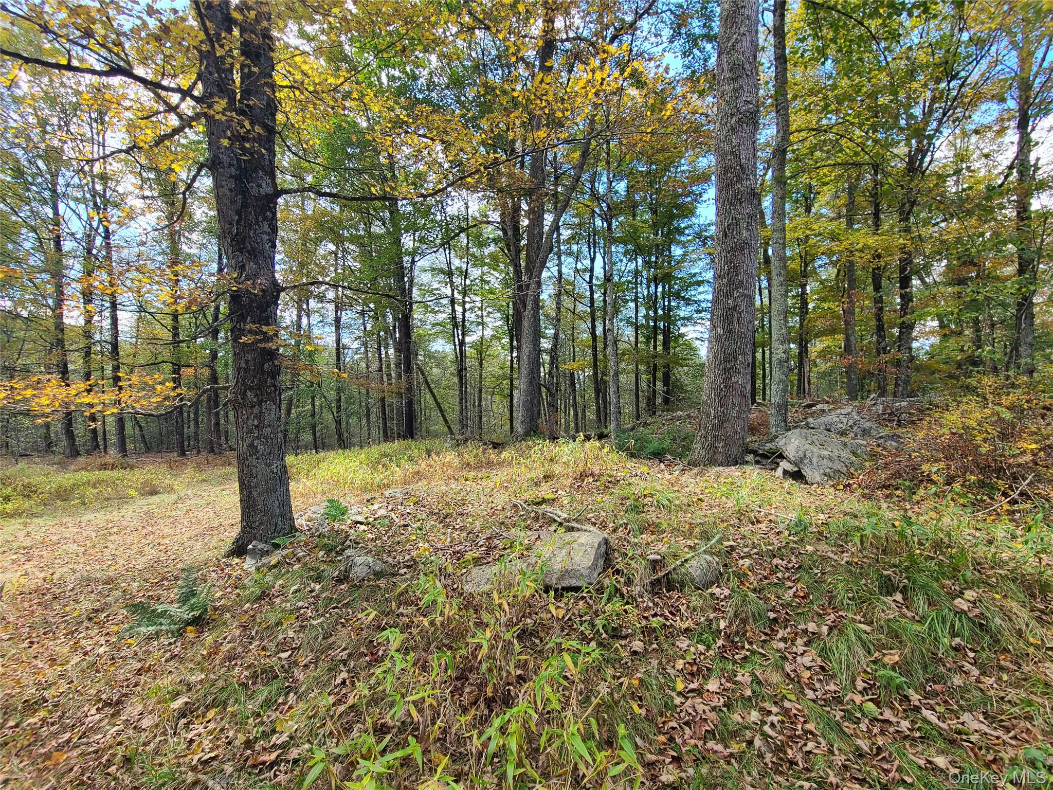 118 Hilltop Road Monticello, NY 12701 - Photo 34 of 45 a house with trees in front of it