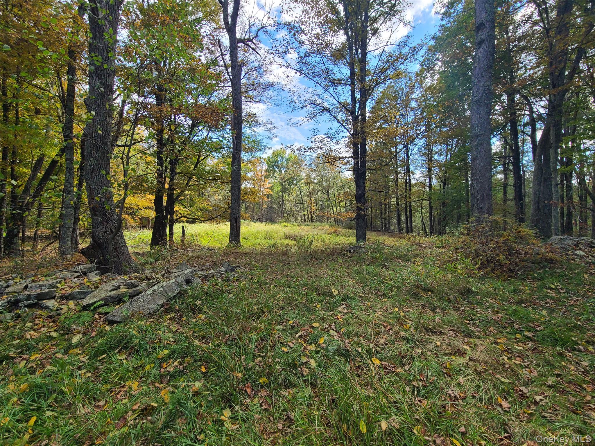 118 Hilltop Road Monticello, NY 12701 - Photo 36 of 45 a view of outdoor space with trees
