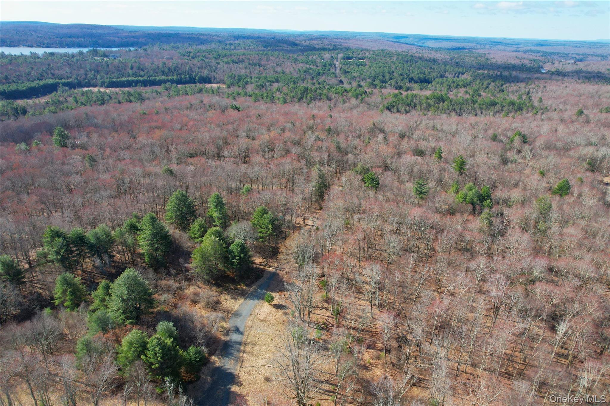118 Hilltop Road Monticello, NY 12701 - Photo 37 of 45 a view of a dry field with trees in background