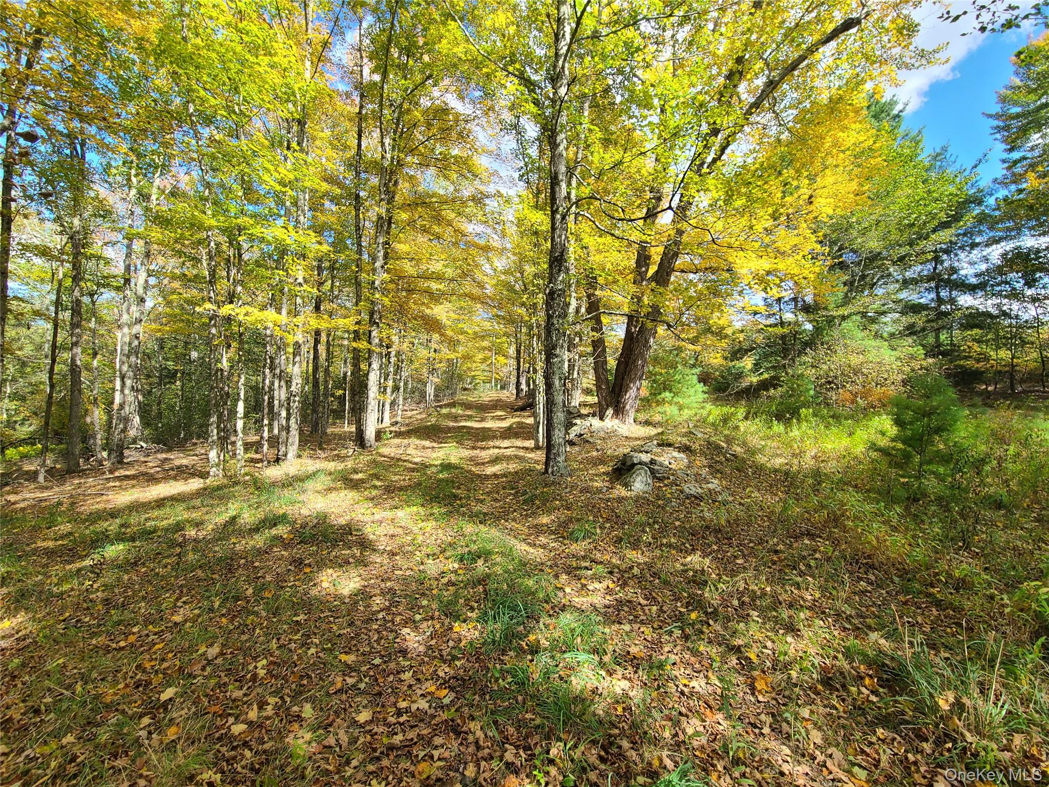 118 Hilltop Road Monticello, NY 12701 - Photo 4 of 45