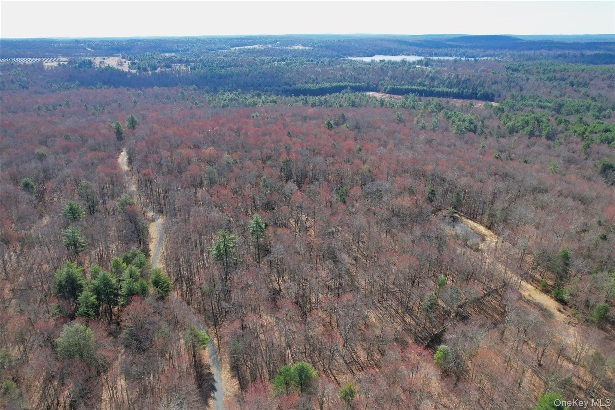 118 Hilltop Road Monticello, NY 12701 - Photo 41 of 45 Bird's eye view with a forest view