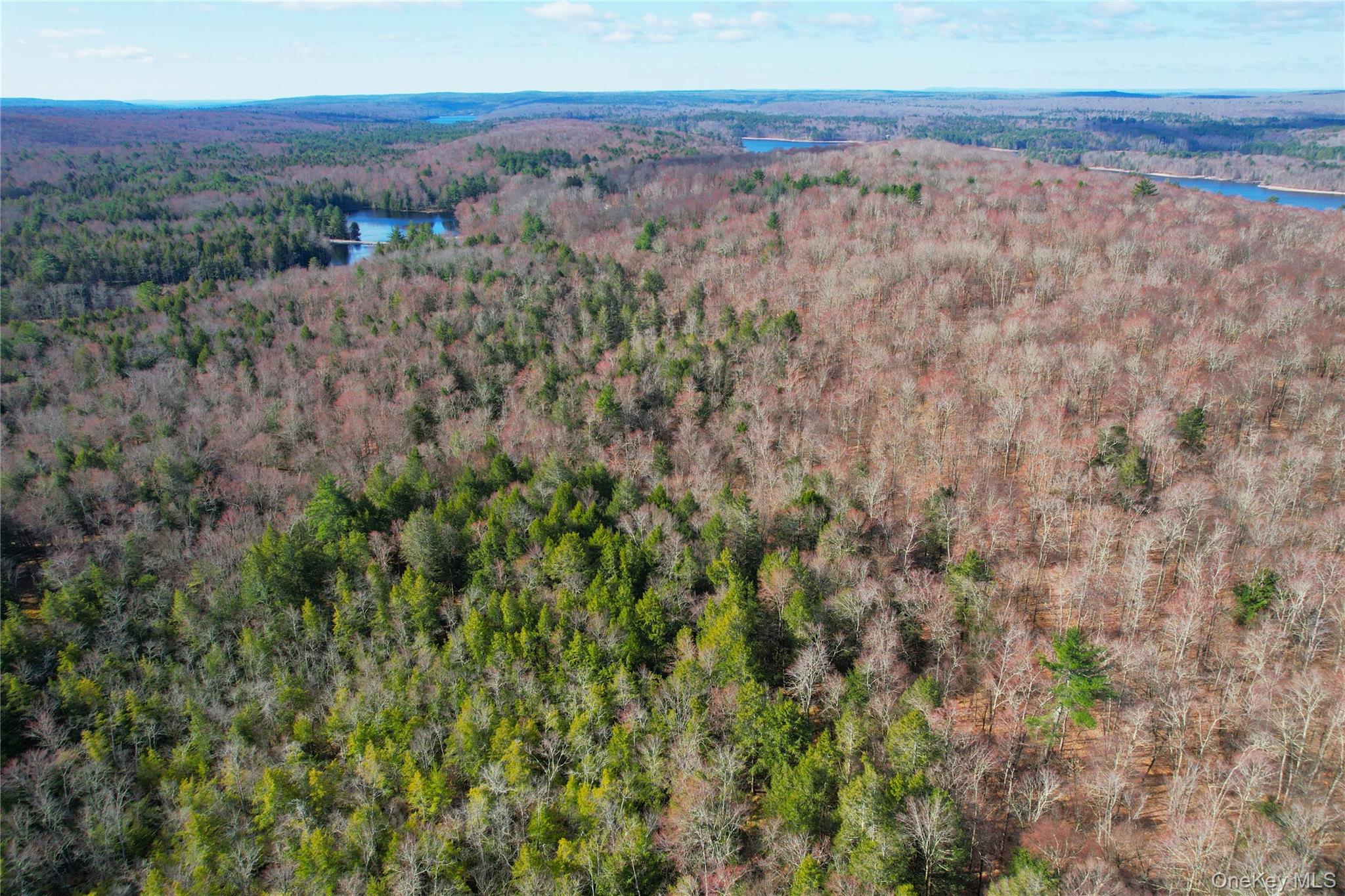 118 Hilltop Road Monticello, NY 12701 - Photo 42 of 45 Bird's eye view featuring a wooded view and a water view