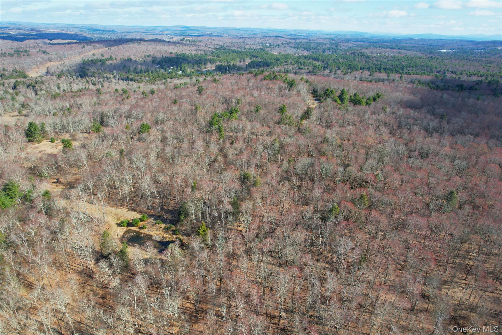118 Hilltop Road Monticello, NY 12701 - Photo 43 of 45 Bird's eye view with a wooded view