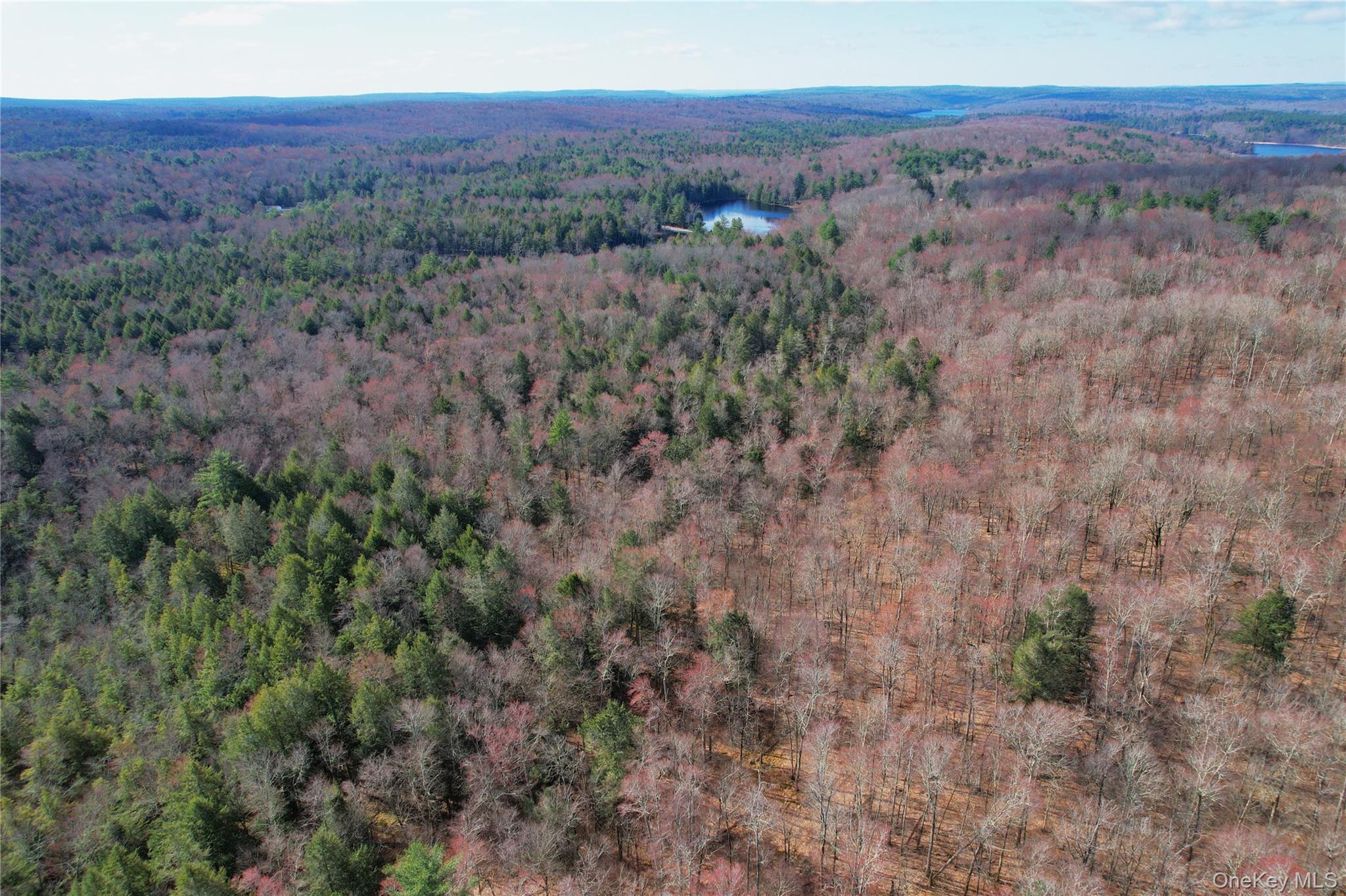 118 Hilltop Road Monticello, NY 12701 - Photo 44 of 45 a view of a dry yard with green space