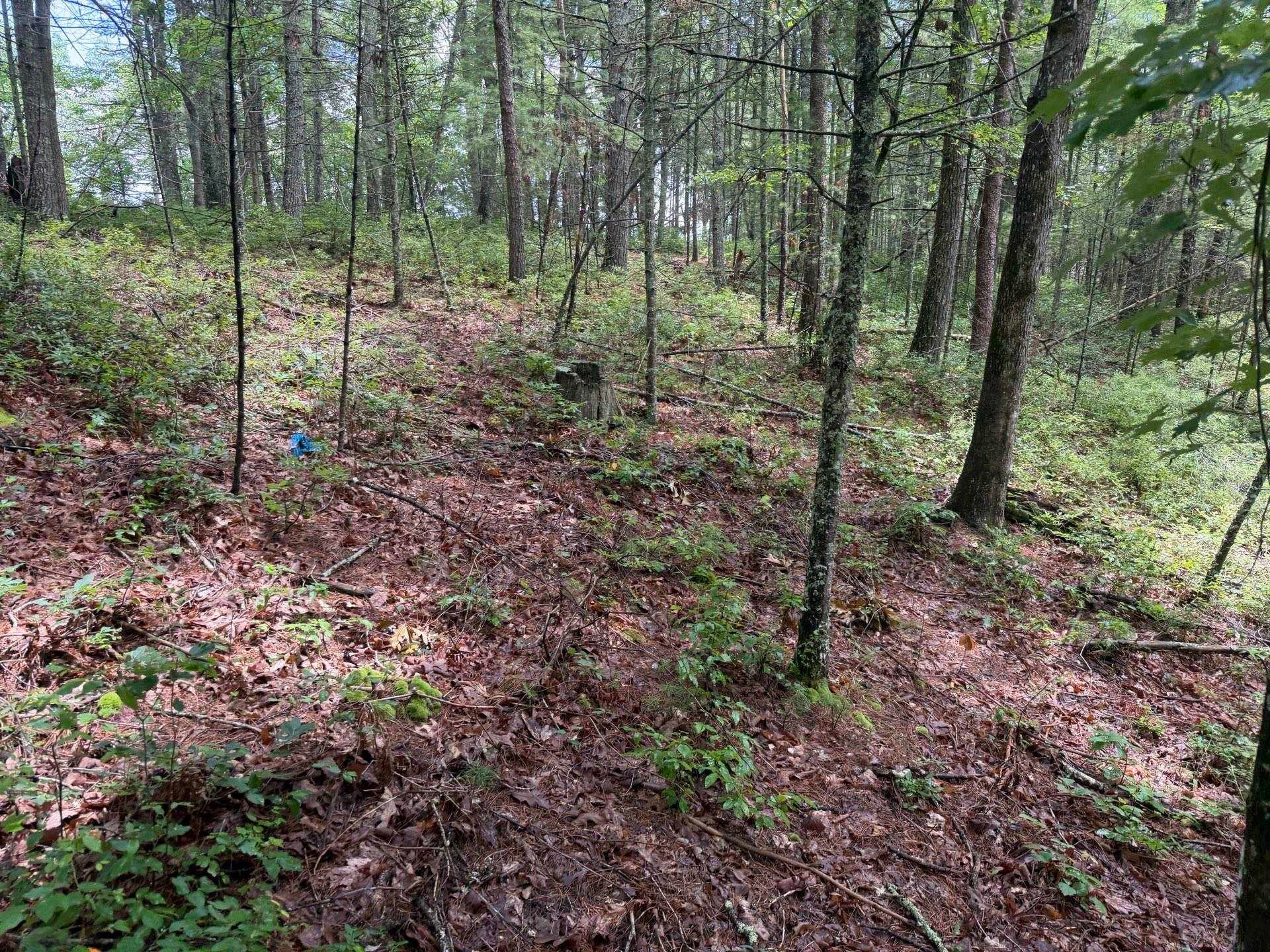Tbd Short Ridge Drive Bland, VA 24315 - Photo 121 of 125 Gallery Image 121