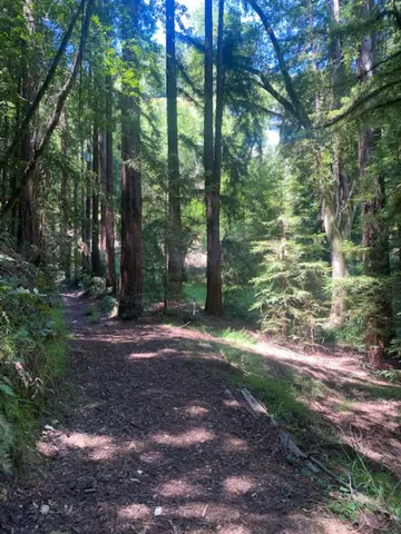 $495,000 | 2 Wainwright Place, Mill Valley, CA 94941