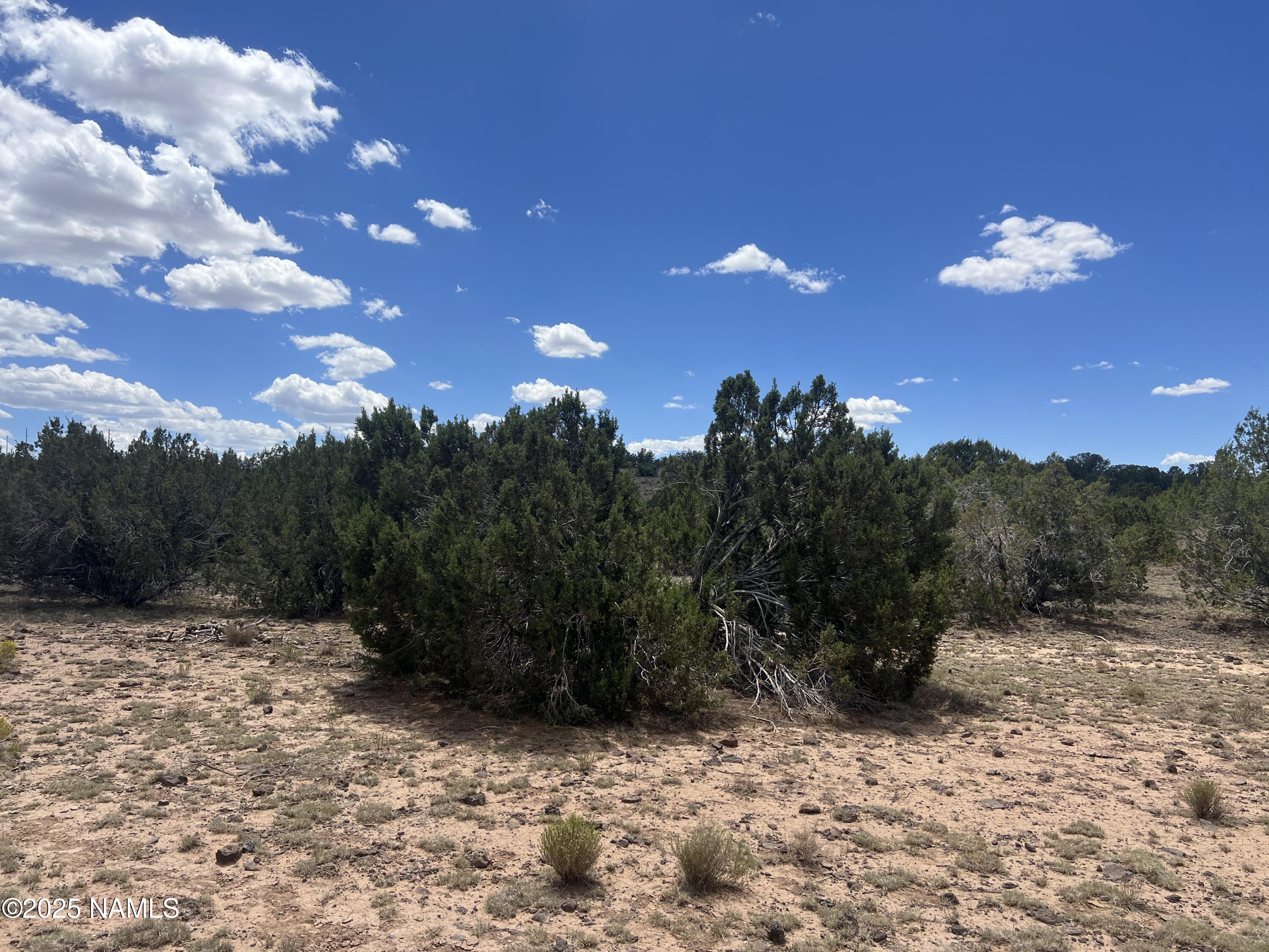 3472 Whitetail Loop Williams, AZ 86046 - Photo 11 of 23 a view of a yard with mountain view
