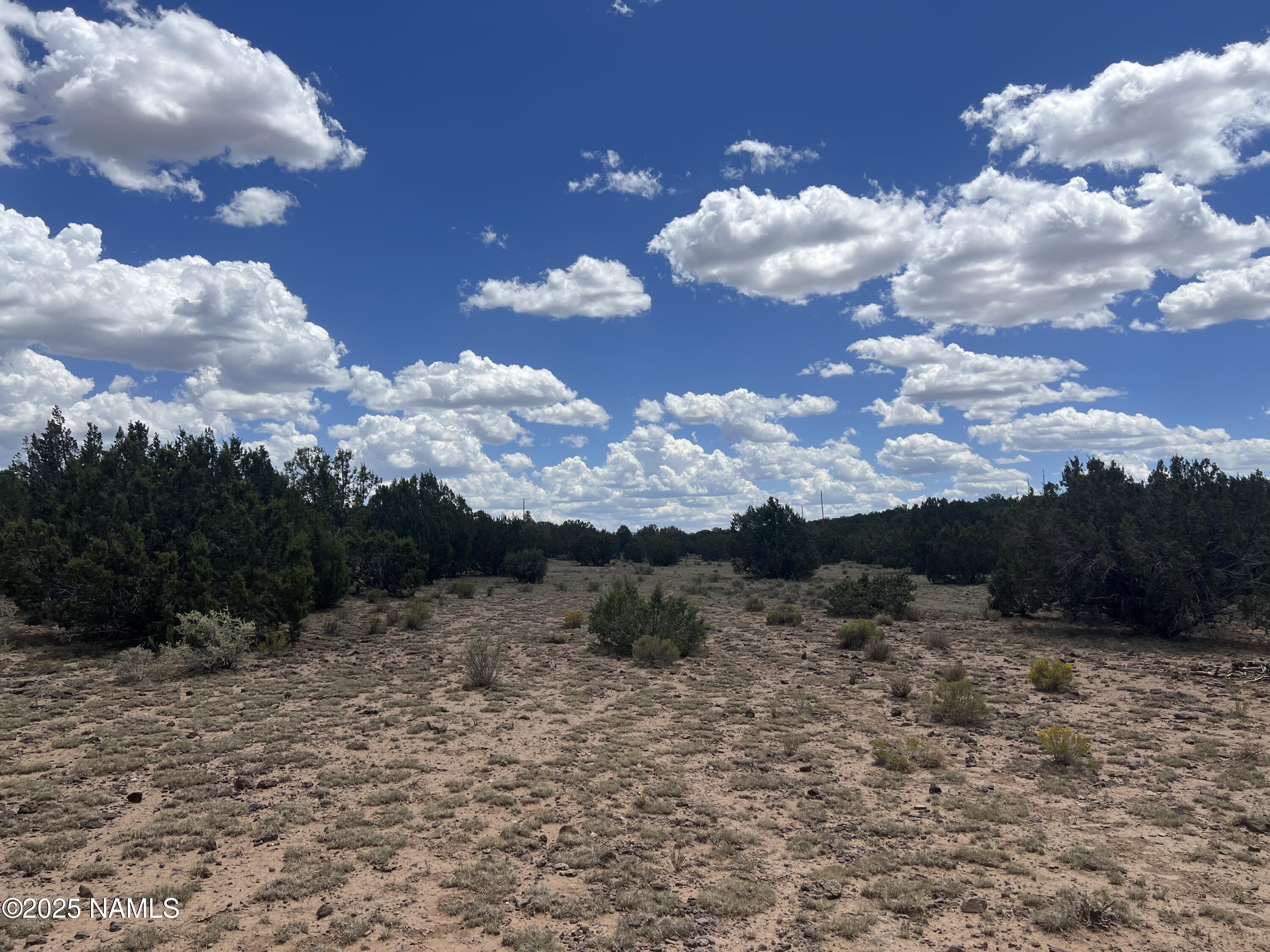 3472 Whitetail Loop Williams, AZ 86046 - Photo 12 of 23 a view of a bunch of trees