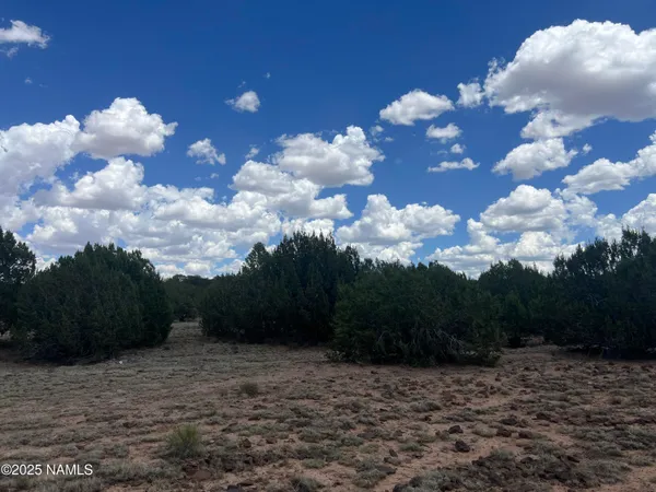 a view of a big yard with lots of bushes