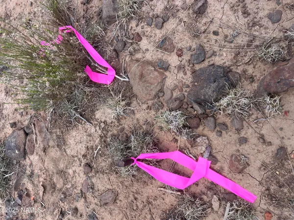 a view of a area with bath