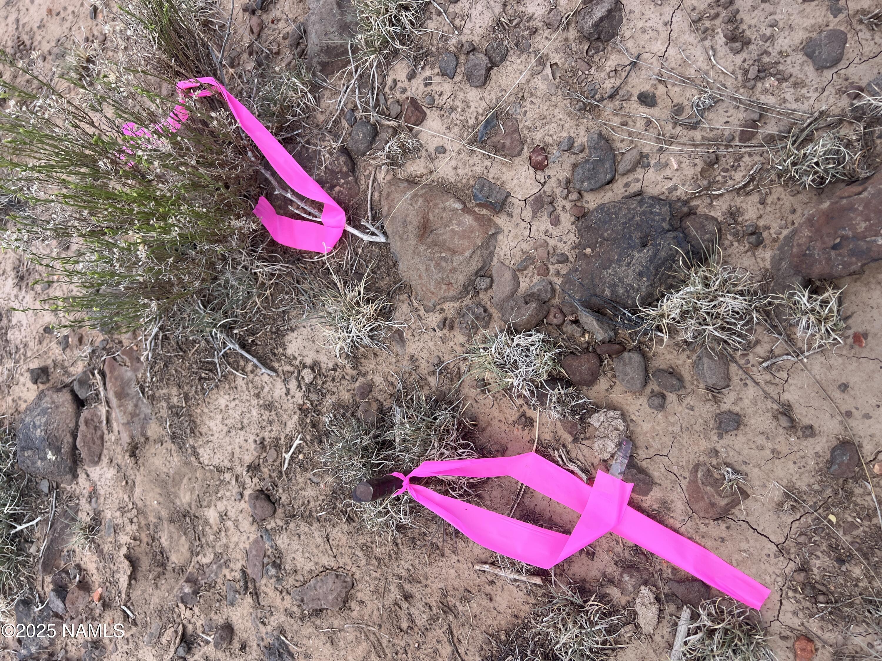 3472 Whitetail Loop Williams, AZ 86046 - Photo 16 of 23 a view of a area with bath