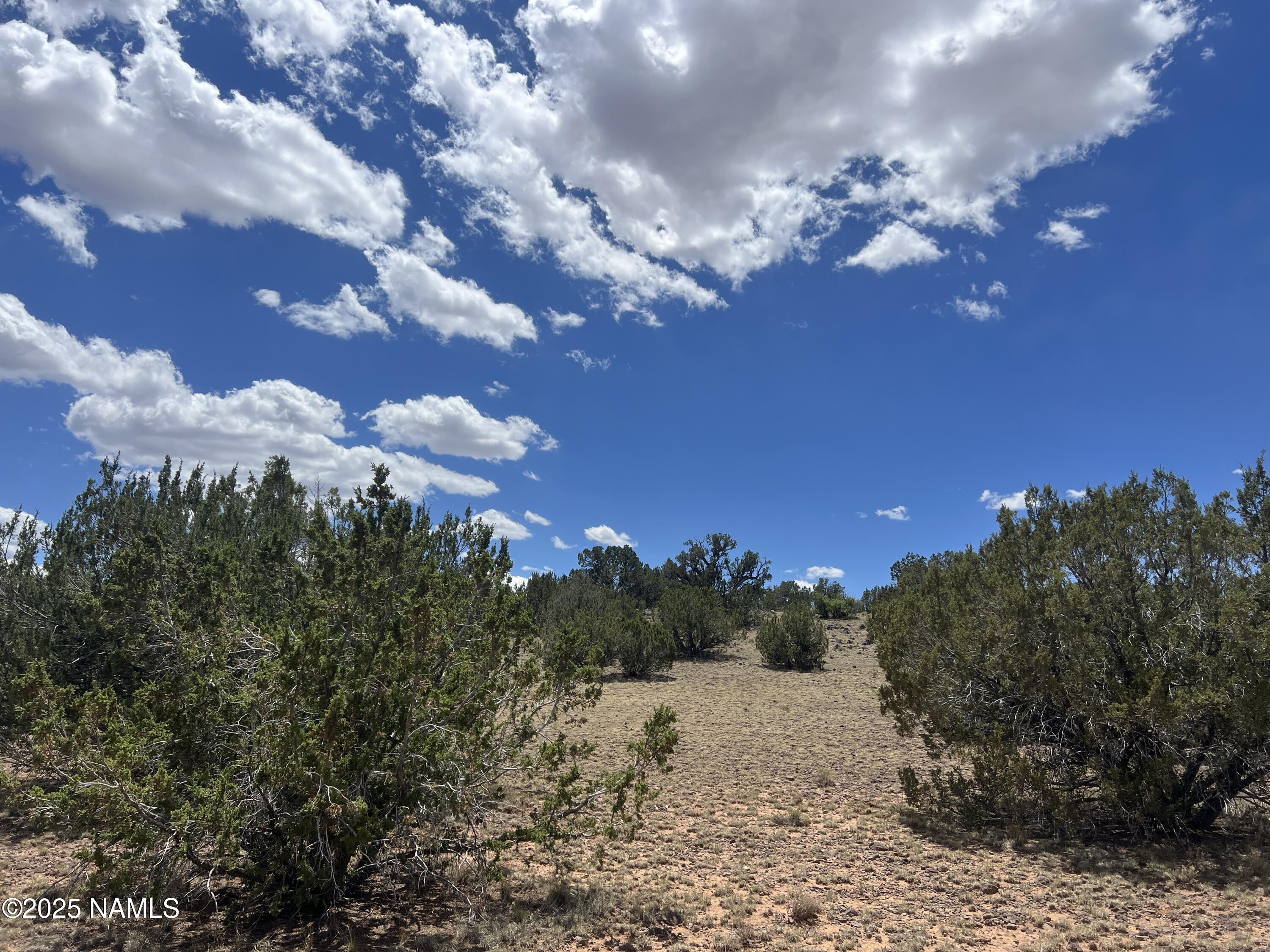 3472 Whitetail Loop Williams, AZ 86046 - Photo 17 of 23 a view of a house with a yard