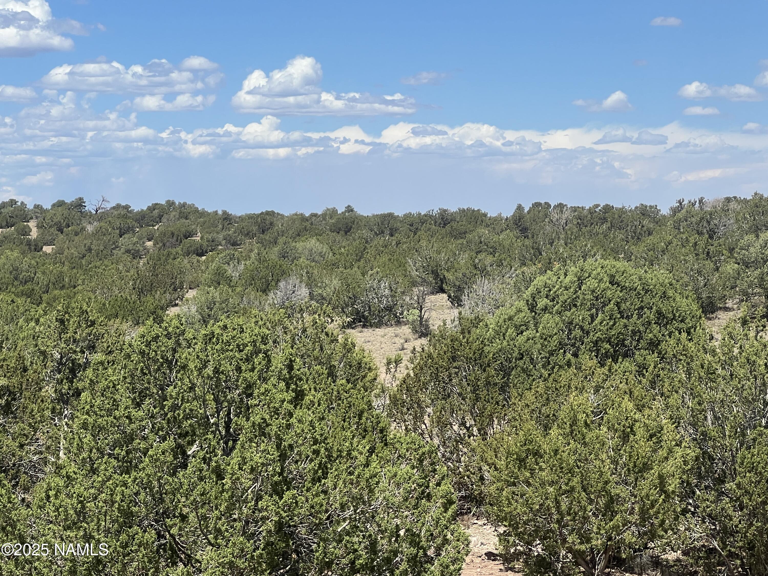 3472 Whitetail Loop Williams, AZ 86046 - Photo 3 of 23 a view of a city and a mountain