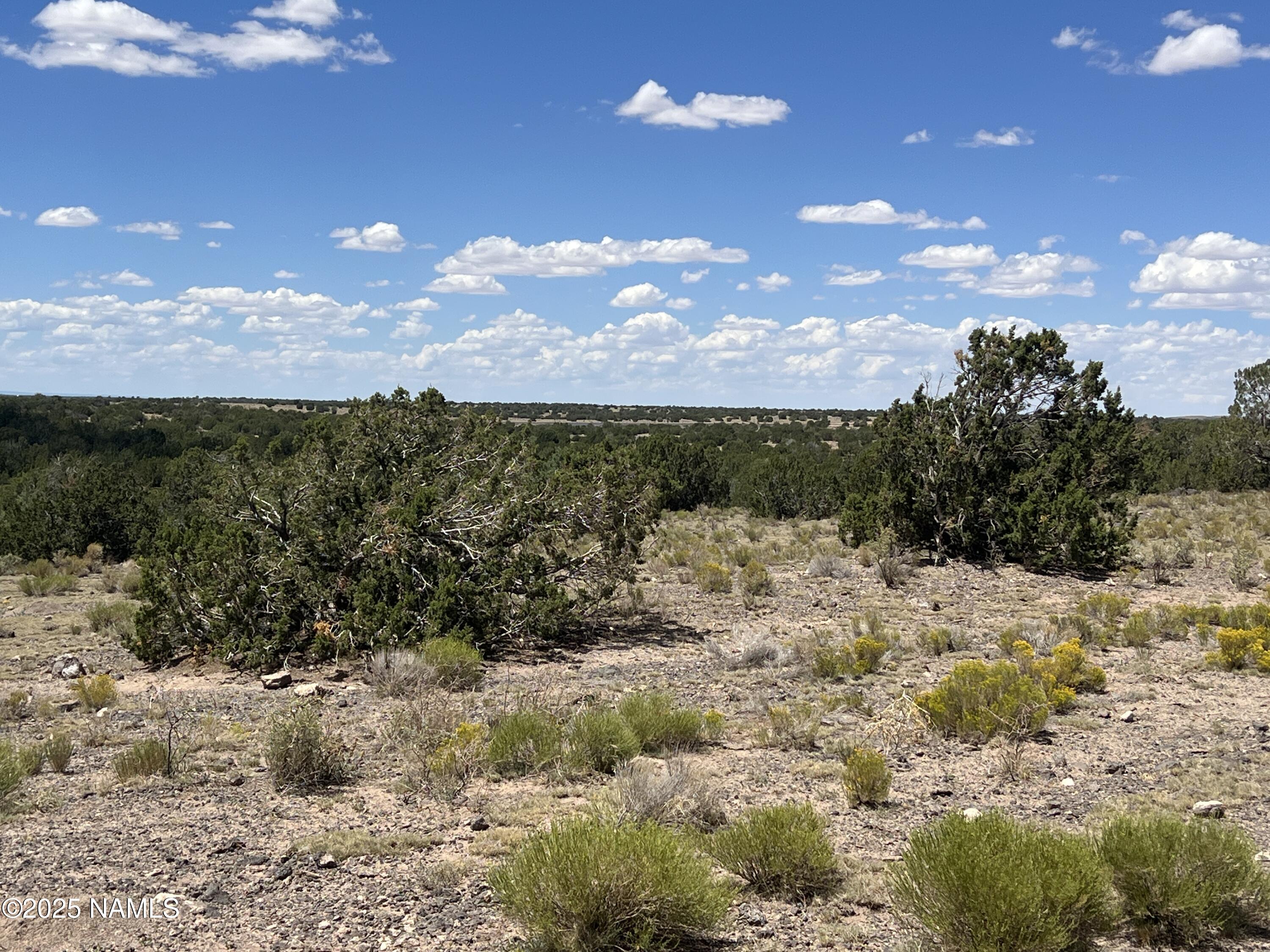 3472 Whitetail Loop Williams, AZ 86046 - Photo 6 of 23 a view of a lake with a mountain