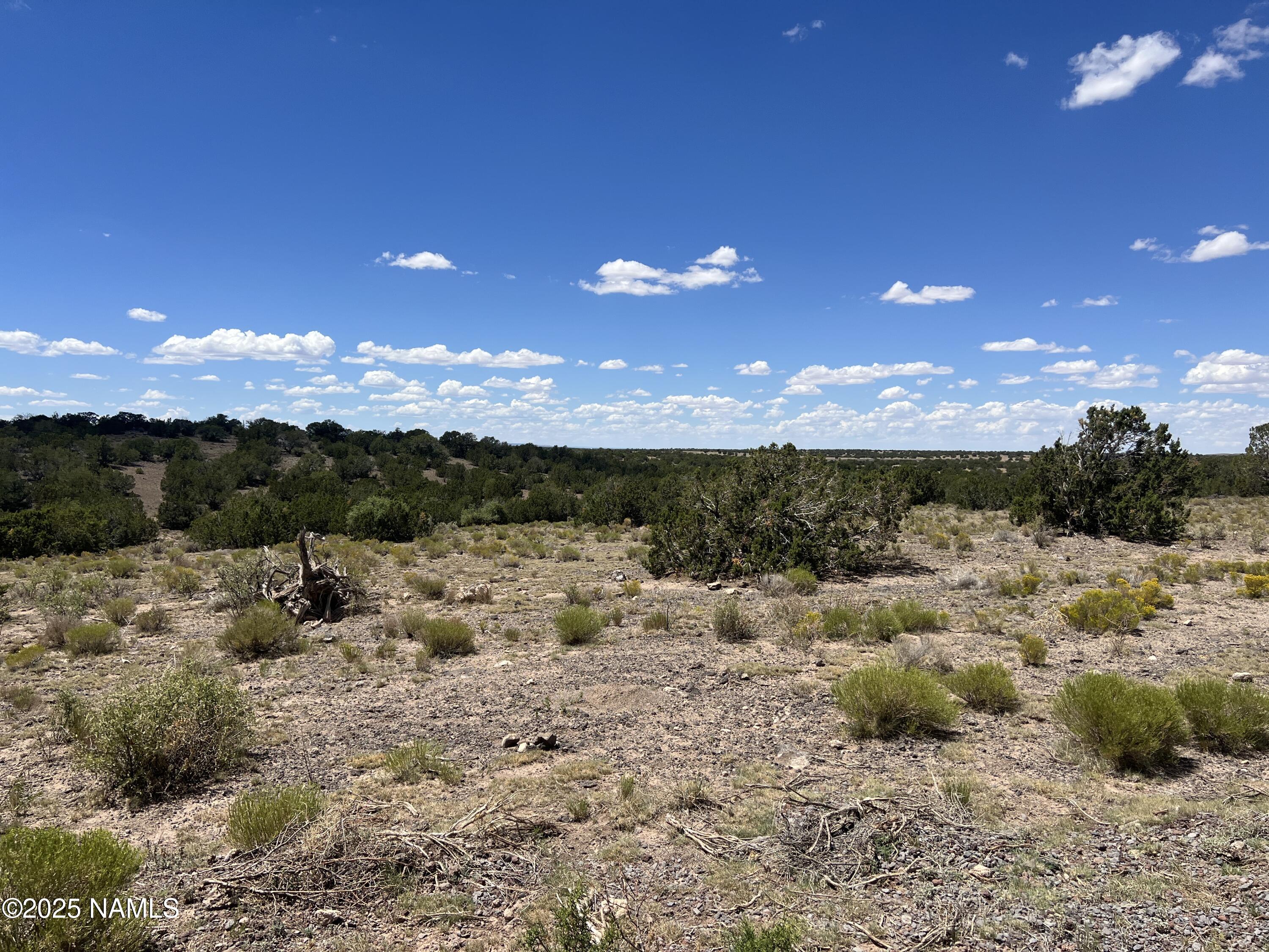 3472 Whitetail Loop Williams, AZ 86046 - Photo 7 of 23 a view of a town with large trees