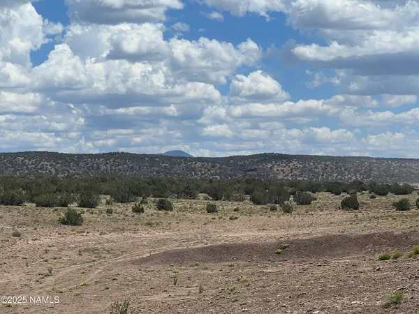 a view of a dry yard covered with snow