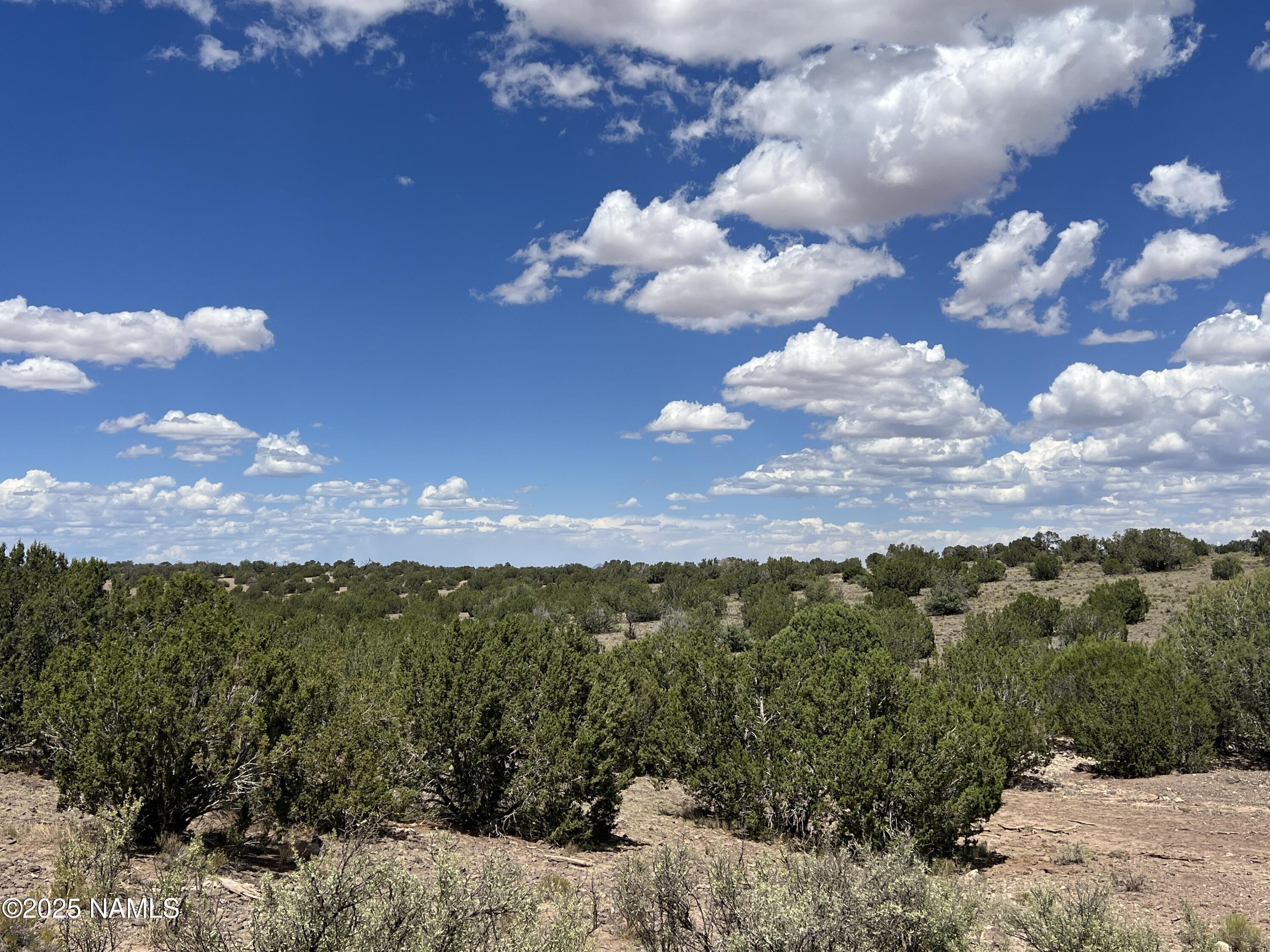 3472 Whitetail Loop Williams, AZ 86046 - Photo 9 of 23 a view of a lake in middle of forest