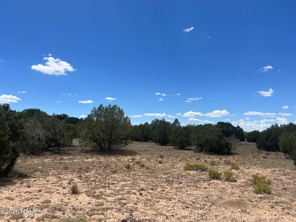 a view of a yard with a tree