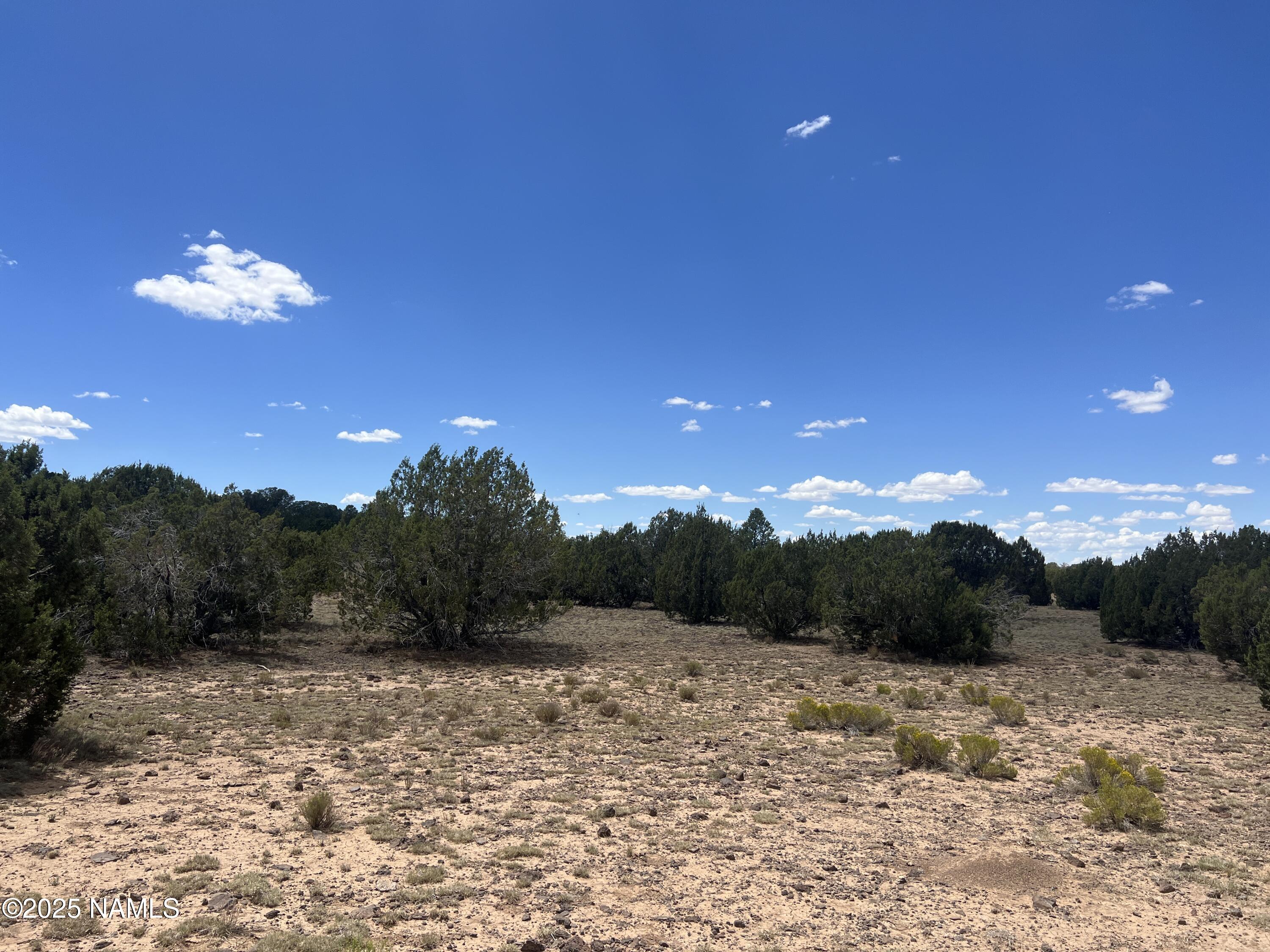 3472 Whitetail Loop Williams, AZ 86046 - Photo 10 of 23 a view of a yard with a tree