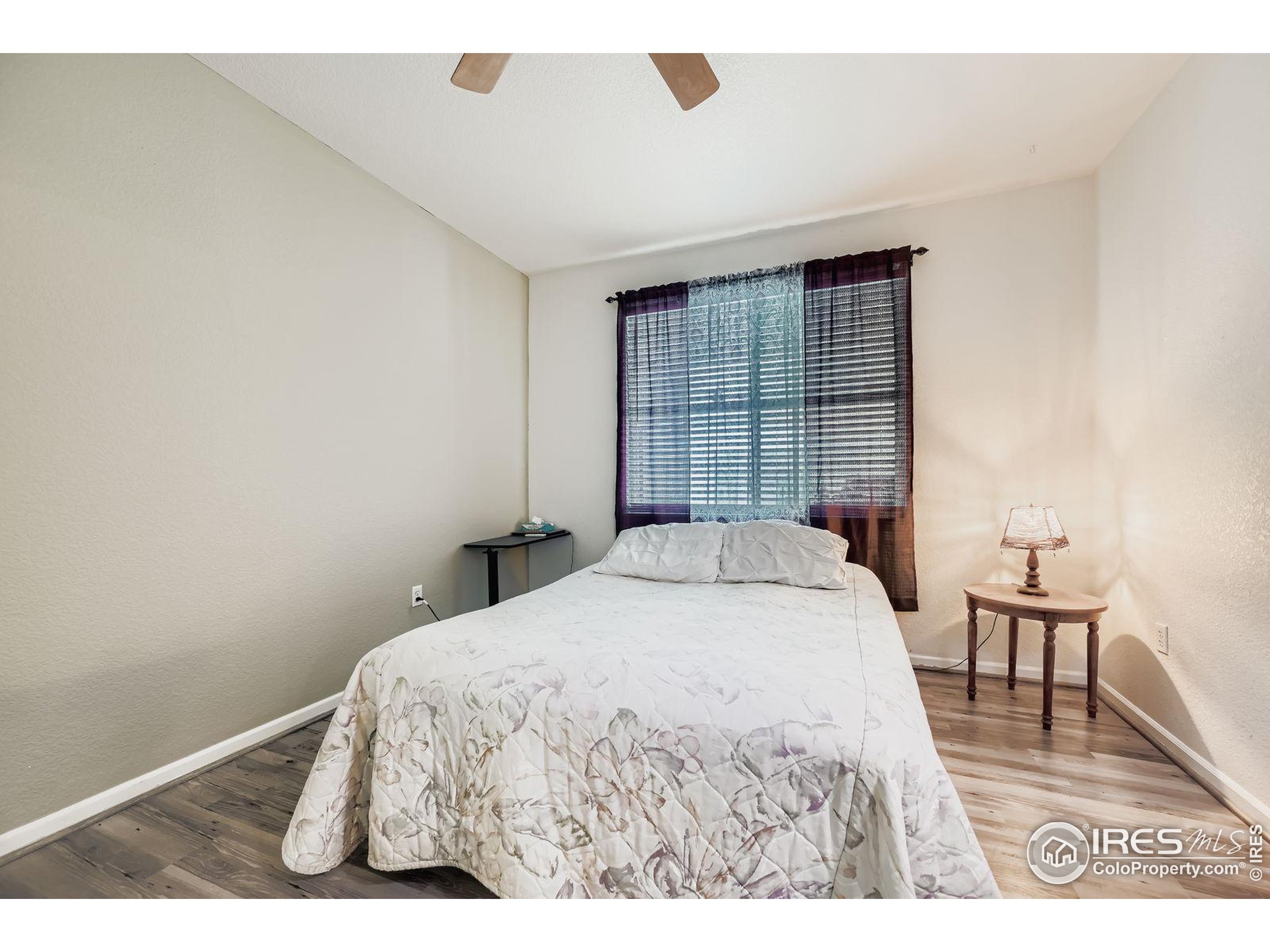 4501 Nelson Road, Unit 2101 Longmont, CO 80503 - Photo 4 of 11