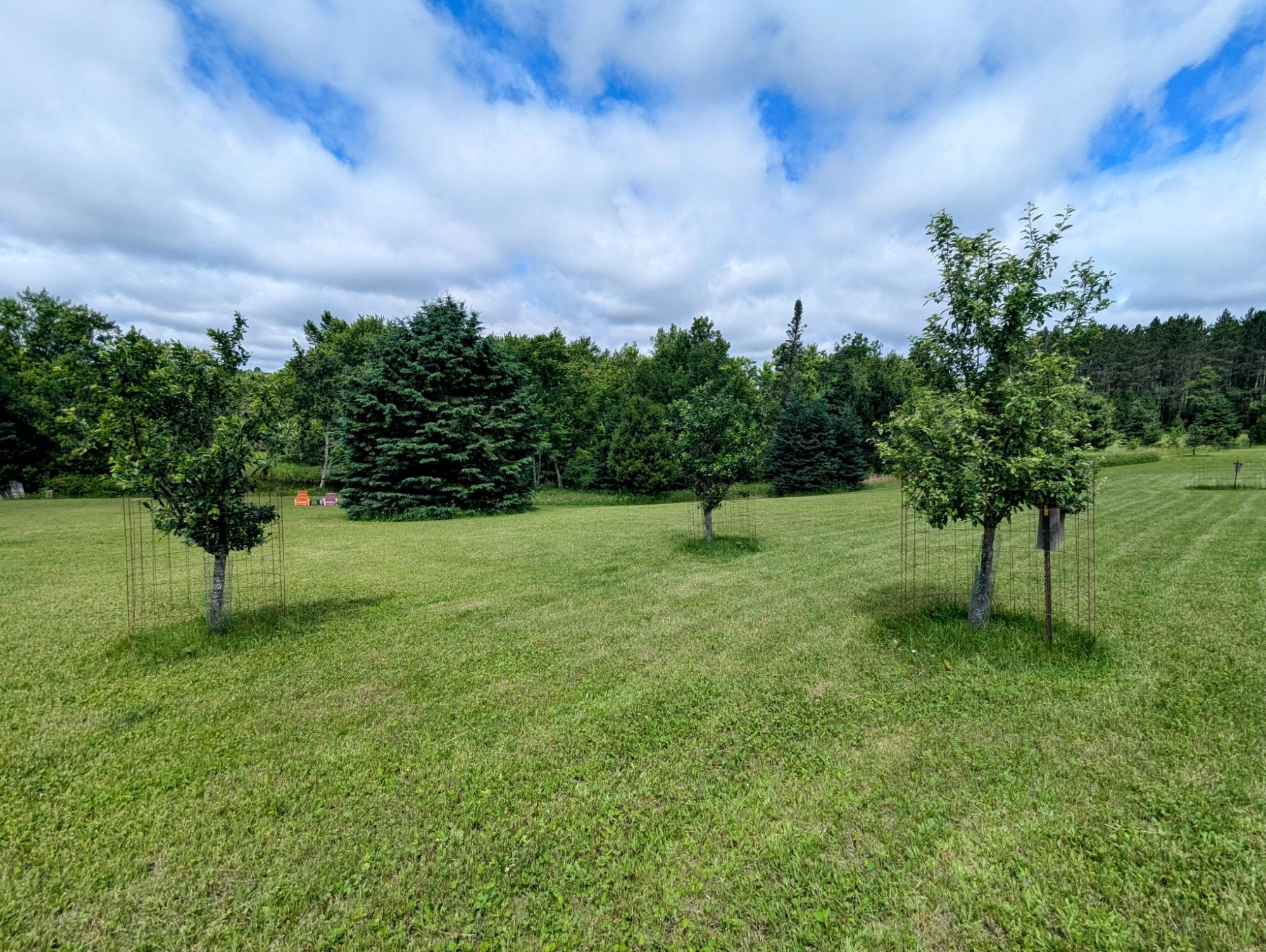 17495 Bert Schmidt Road Glidden, WI 54527 - Photo 26 of 31 Gallery Image 26