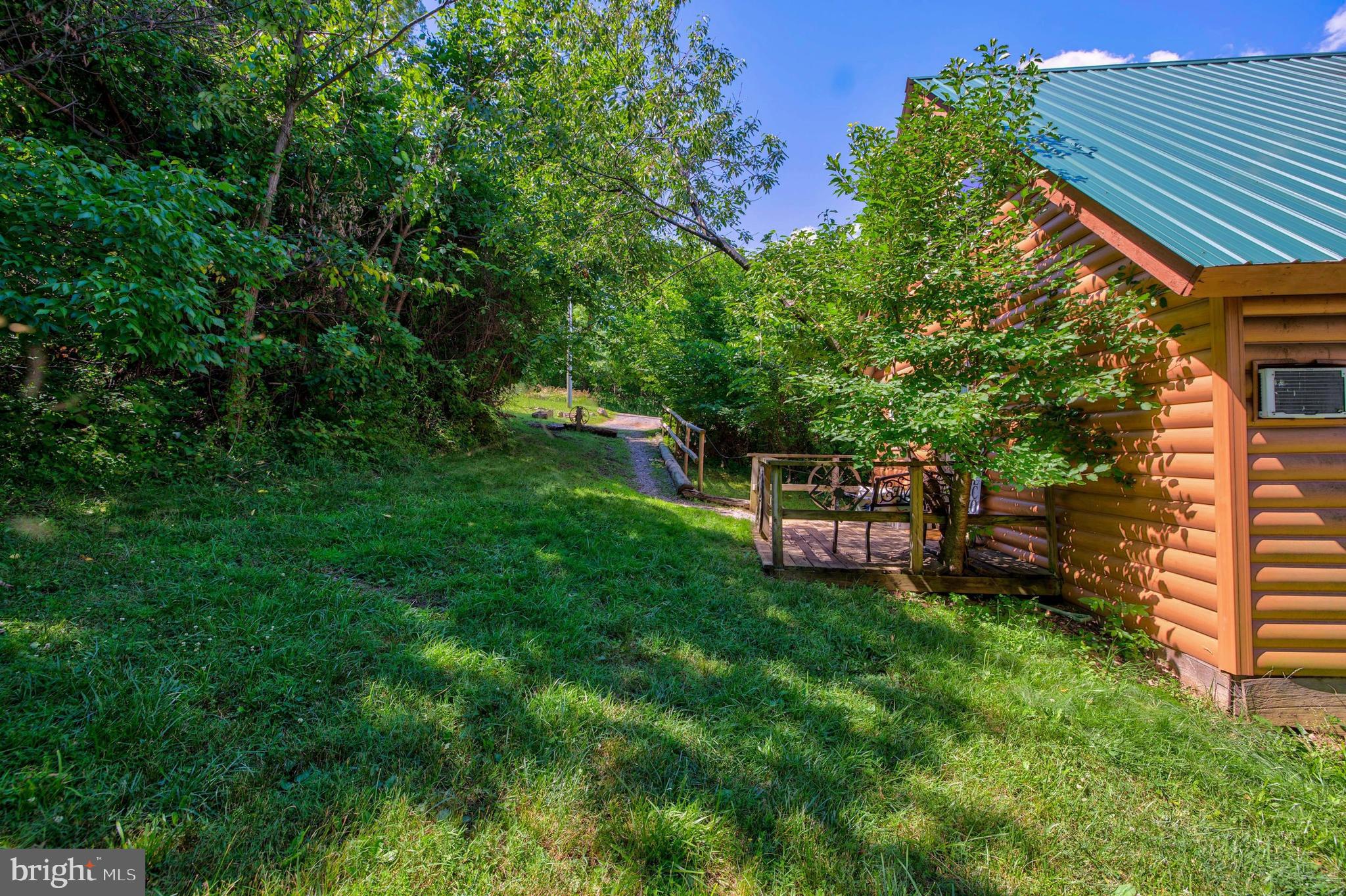 707 Overlook Drive Rileyville, VA 22650 - Photo 53 of 94