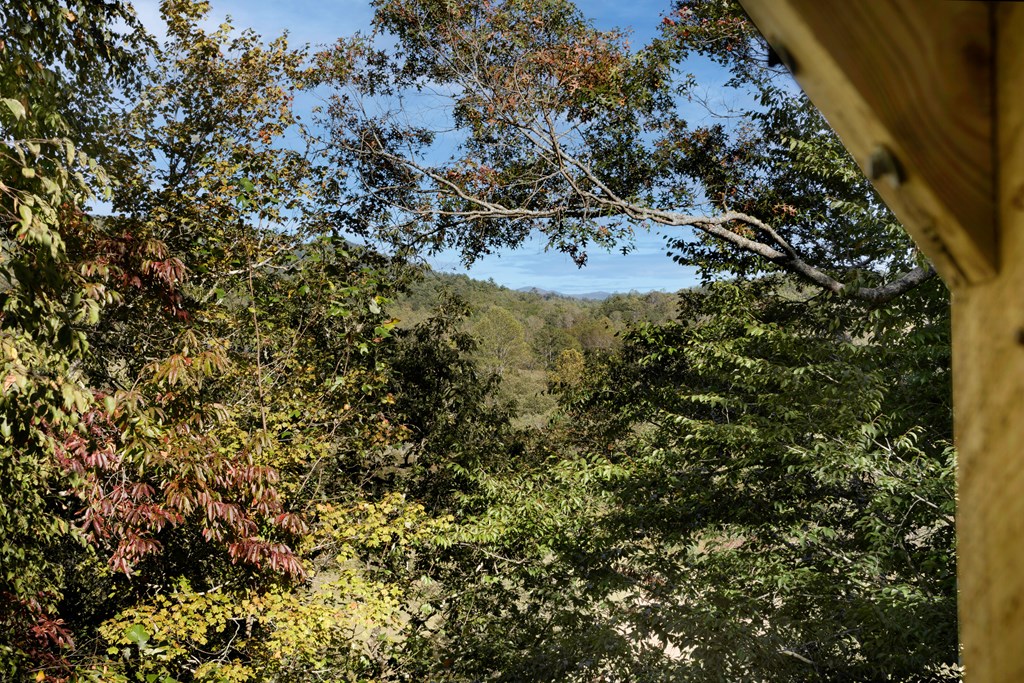 14 Rivendell Way Hayesville, NC 28904 - Photo 63 of 70