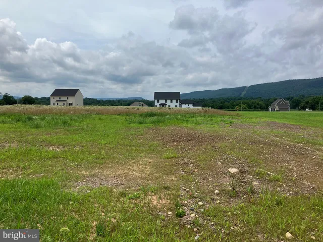 a view of a field with an trees in the background