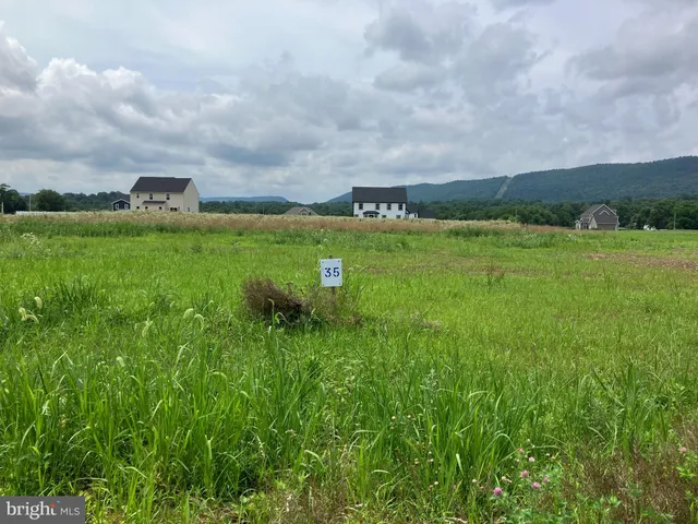 a view of a city with lush green space and trampoline