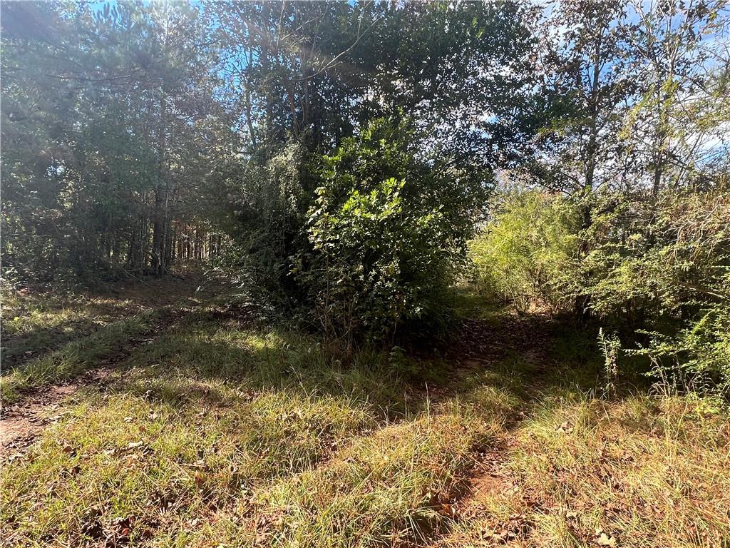 494 Elmer Road Elmer, LA 71424 - Photo 11 of 50 Gallery Image 11