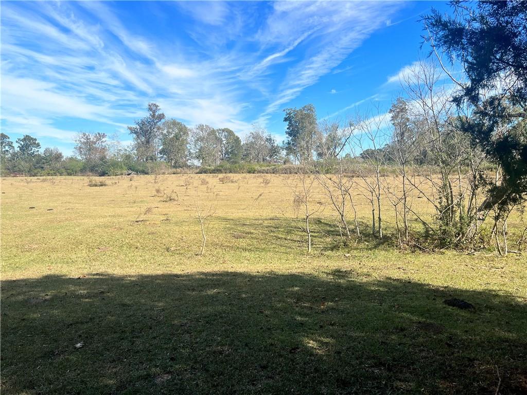 494 Elmer Road Elmer, LA 71424 - Photo 35 of 50 Gallery Image 35