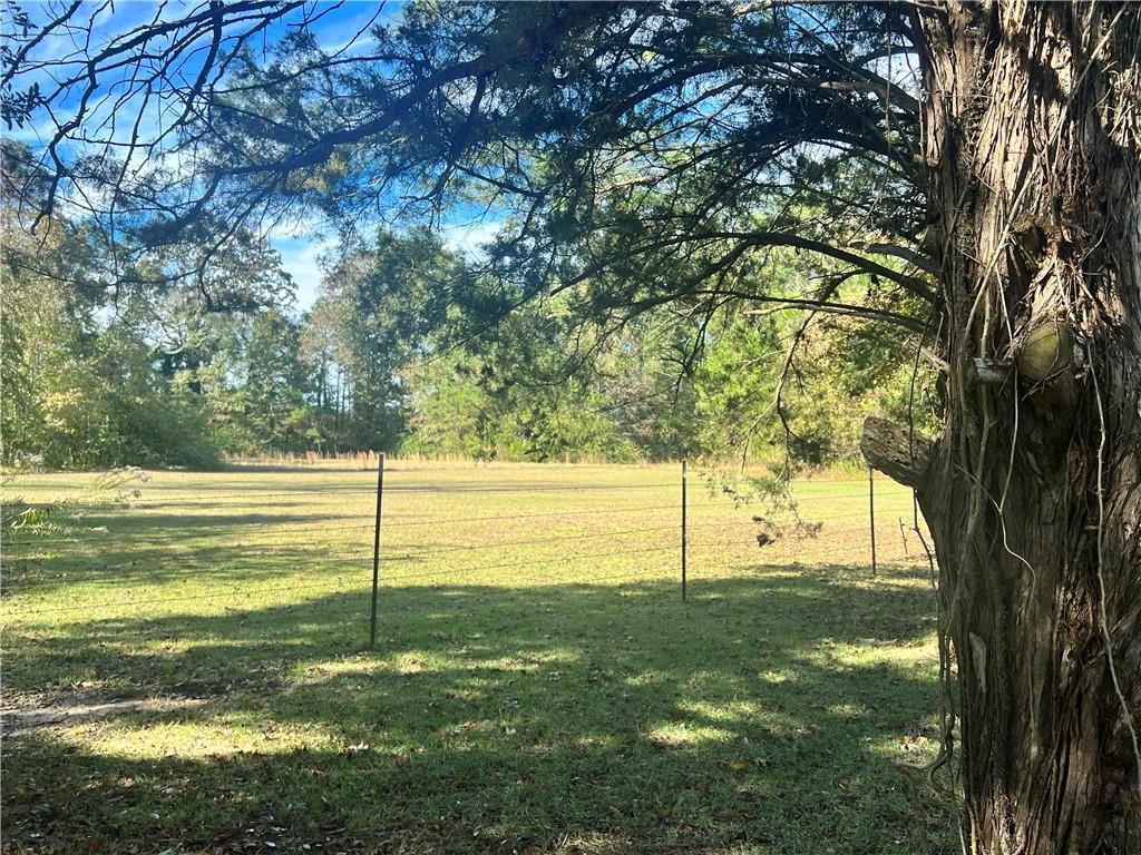 494 Elmer Road Elmer, LA 71424 - Photo 36 of 50 Gallery Image 36