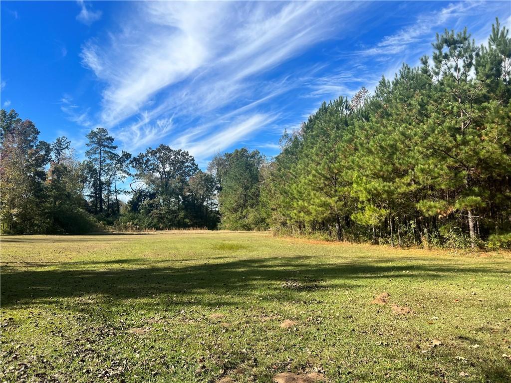 494 Elmer Road Elmer, LA 71424 - Photo 37 of 50 Gallery Image 37