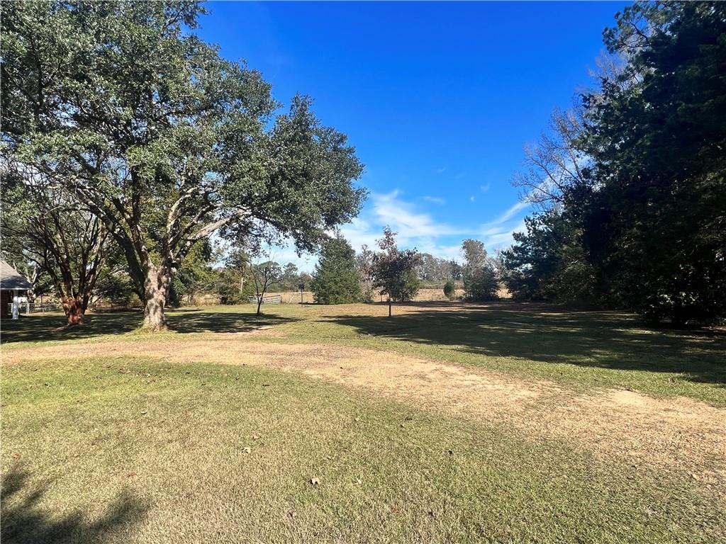 494 Elmer Road Elmer, LA 71424 - Photo 7 of 50 Gallery Image 7