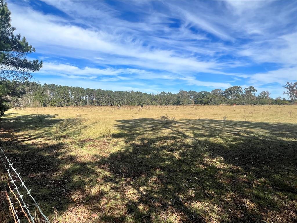 494 Elmer Road Elmer, LA 71424 - Photo 10 of 50 Gallery Image 10