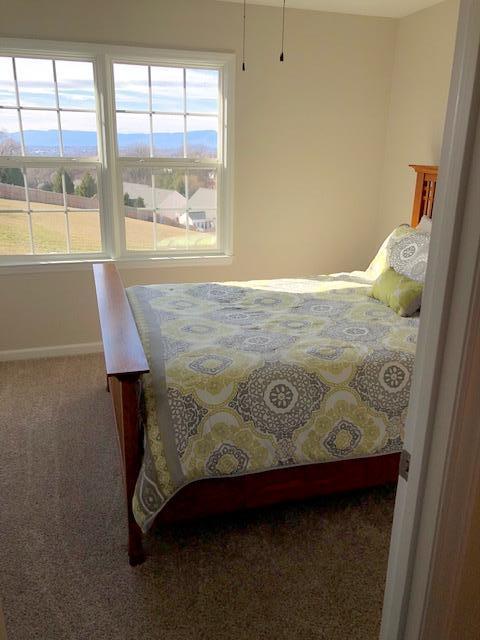 308 North Preston Road Vinton, VA 24179 - Photo 17 of 29 a bed sitting in a bedroom next to a window