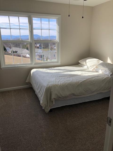 308 North Preston Road Vinton, VA 24179 - Photo 20 of 29 a bed sitting in a bedroom next to a window