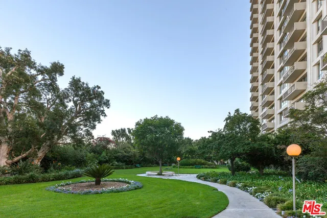 a view of a park with large trees