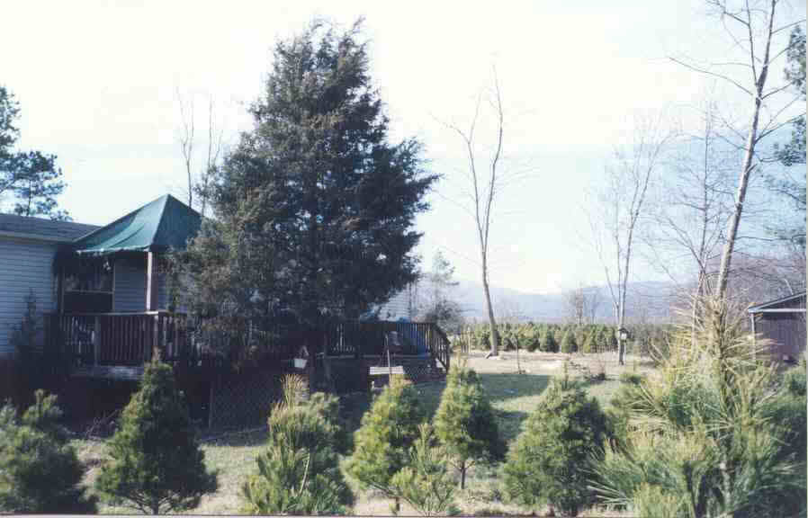 1064 Keith Road Stanardsville, VA 22973 - Photo 2 of 3 Gallery Image 2