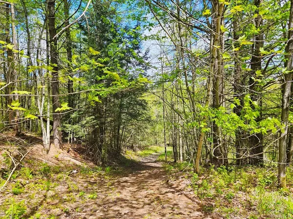 $134,900 | Lot 4 Berry Road, Richford, VT 05476