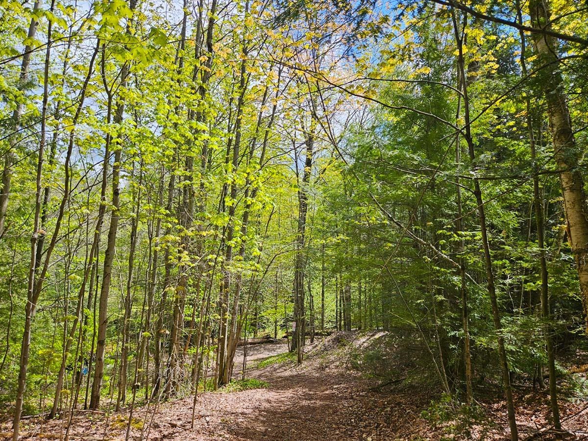 1367 Berry Road Berkshire, VT 05476 - Photo 11 of 14