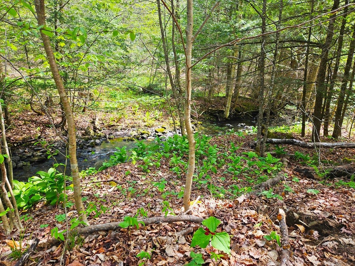 1367 Berry Road Berkshire, VT 05476 - Photo 13 of 14