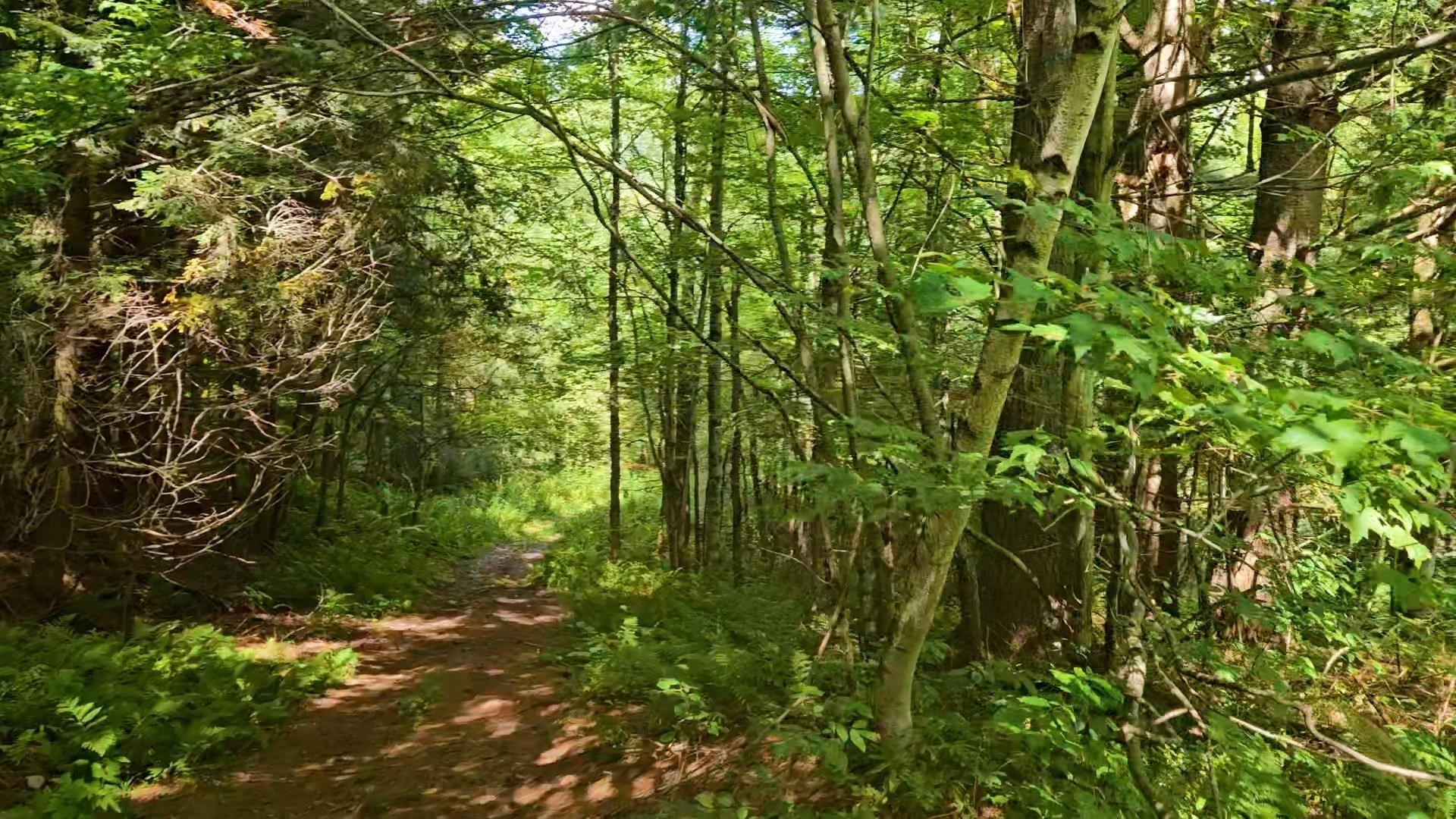 1367 Berry Road Berkshire, VT 05476 - Photo 14 of 14