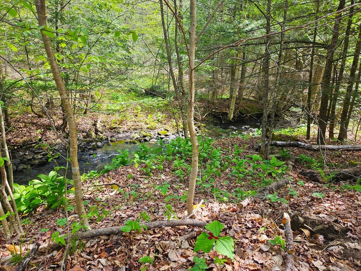 1367 Berry Road Berkshire, VT 05476 - Photo 2 of 14