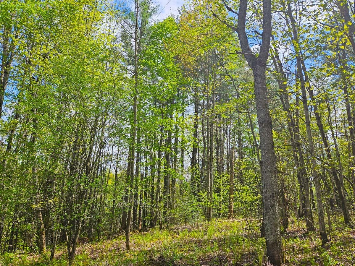 1367 Berry Road Berkshire, VT 05476 - Photo 6 of 14