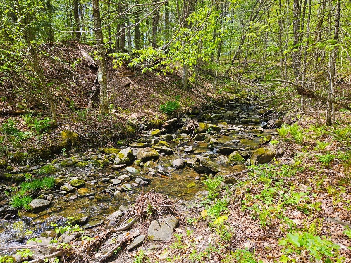 1367 Berry Road Berkshire, VT 05476 - Photo 7 of 14