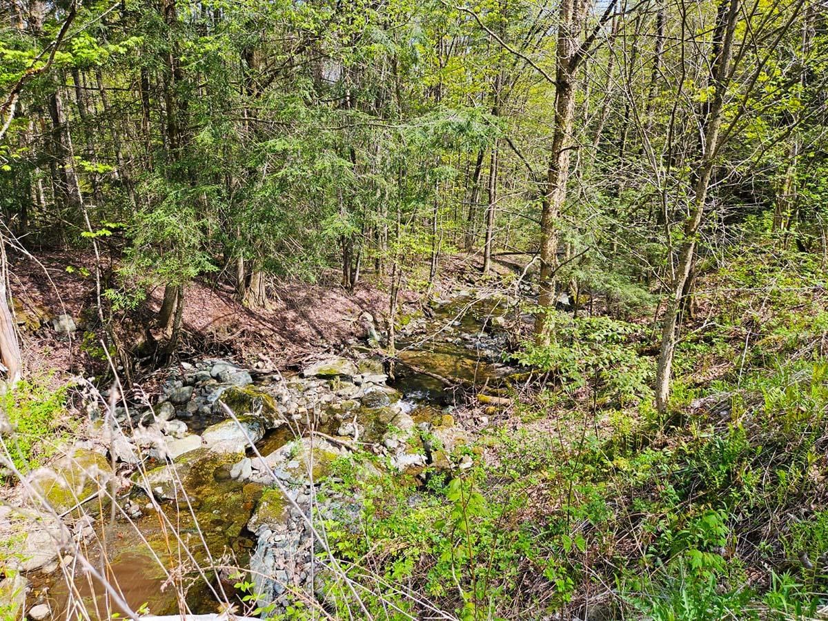 1367 Berry Road Berkshire, VT 05476 - Photo 8 of 14