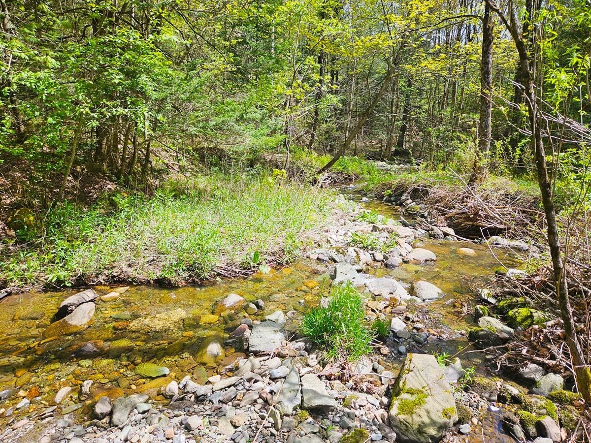 1367 Berry Road Berkshire, VT 05476 - Photo 9 of 14