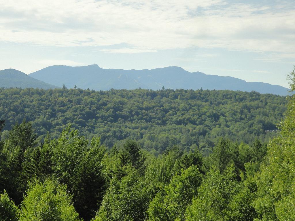 91 Westview Road Stowe, VT 05672 - Photo 17 of 18 Gallery Image 17